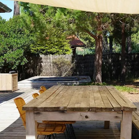 Villa Pinede, Le Paradis Au Milieu Des Pins *