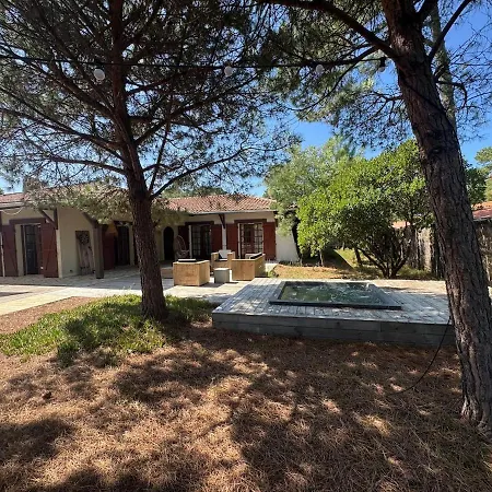 Villa Pinede, Le Paradis Au Milieu Des Pins *