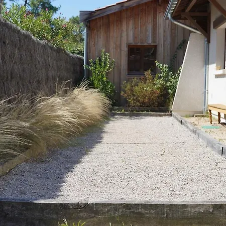 Pinede, Le Paradis Au Milieu Des Pins *