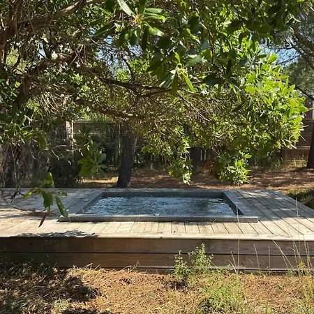 Pinede, Le Paradis Au Milieu Des Pins Villa *